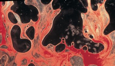 Metallica LOAD (Remastered)