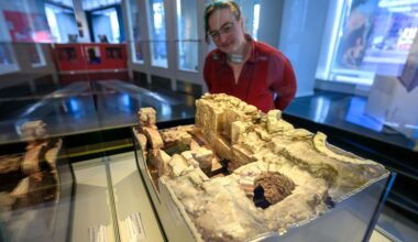 Ausflugsziele am Wochenende: Tipps für für Chemnitz, Dessau und Bad Tabarz