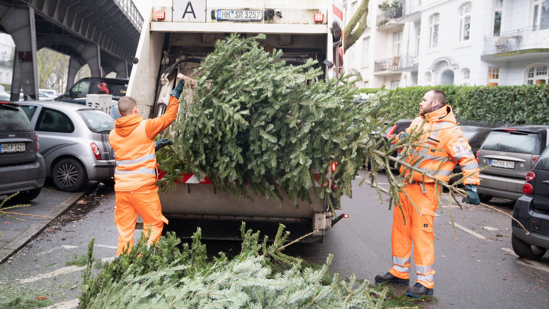 Mitarbeiter der Stadtreinigung Hamburg entsorgen Weihnachtsbäume (Archivbild): Für jeden Stadtteil gibt es mehrere Termine. Mitarbeiter der Stadtreinigung Hamburg entsorgen Weihnachtsbäume (Archivbild): Für jeden Stadtteil gibt es mehrere Termine.
