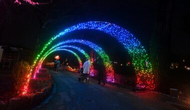 So viele Besucher wie noch nie