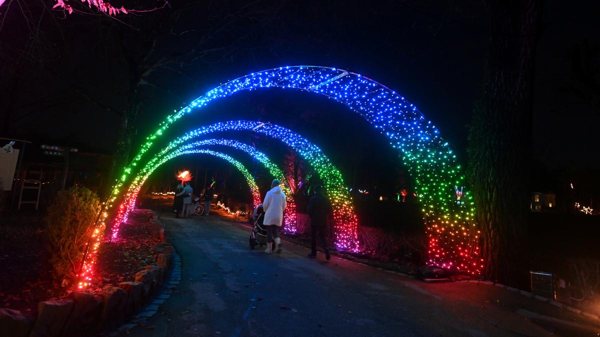 So viele Besucher wie noch nie
