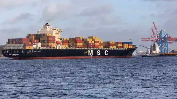 Das MSC-Containerschiff "Fabienne" läuft in den Hamburger Hafen ein.