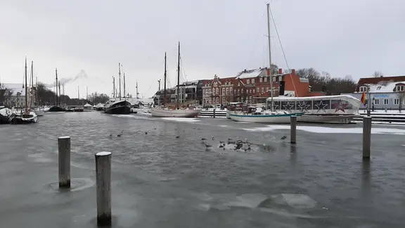 Ein Fluss ist mit einer dünnen Eisdecke überzogen.