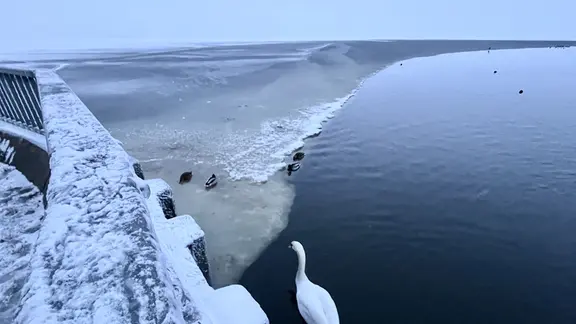 Das Stettiner Haff ist nur teilweise zugefroren, das Eis ist brüchig. | Christopher Niemann Das Stettiner Haff ist nur teilweise zugefroren, das Eis ist brüchig.