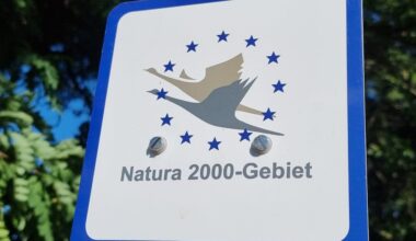 Stadt erhält Fördermittel für „Natura 2000“-Informationstafeln