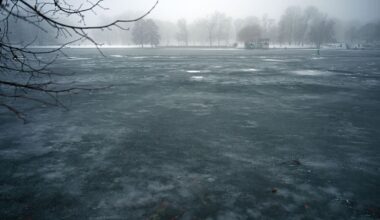 Nebelfelder über Berlin und Brandenburg