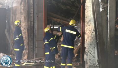 Feuerwehr und THW kämpfen bei Eiseskälte um jedes Tier