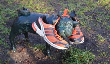 Die Waldmops-Jagdsaison wird am 24. März eröffnet