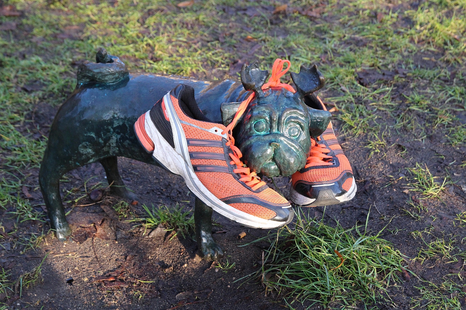 Die Waldmops-Jagdsaison wird am 24. März eröffnet