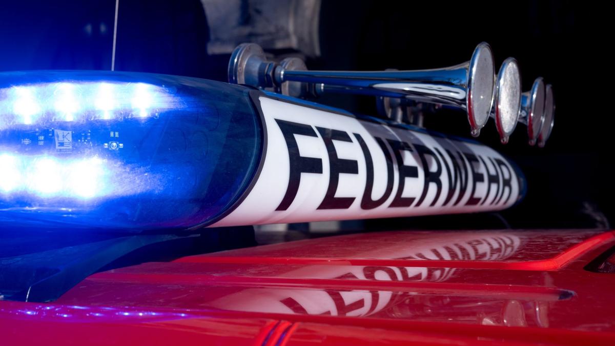 92-Jähriger fährt mit seinem Auto gegen Baum und wird verletzt