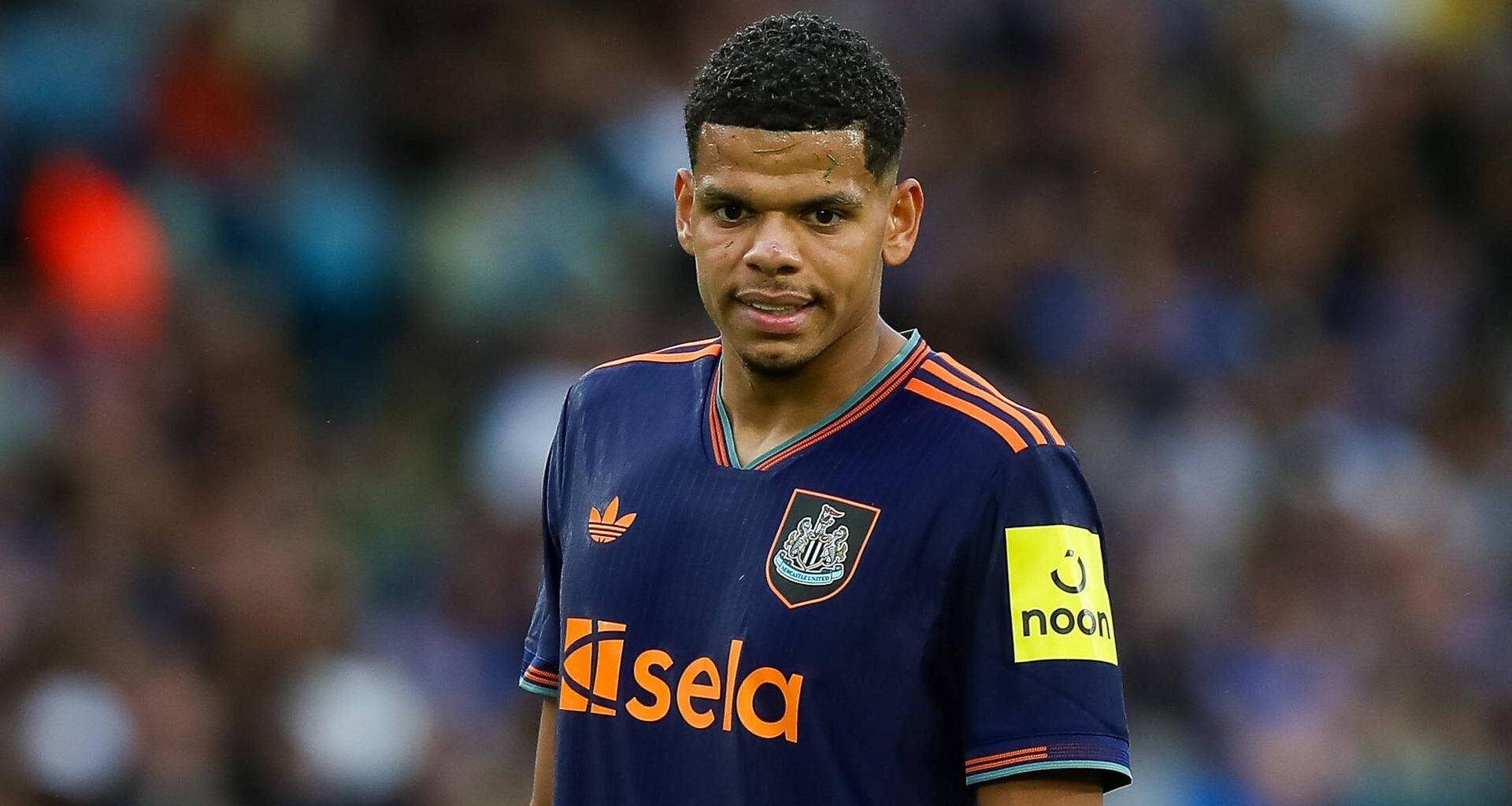 Eintracht Frankfurt News-Ticker: Bericht: SGE denkt über dritte Stürmer-Verpflichtung nach