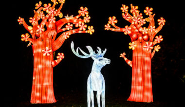 Ein leuchtender Hirsch und Bäume beim Parkleuchten 2026.