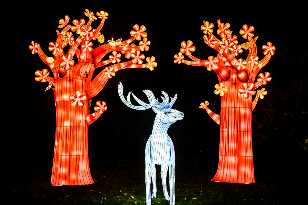 Ein leuchtender Hirsch und Bäume beim Parkleuchten 2026.