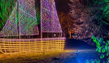 Parkleuchten 2026 im Grugapark Essen: Tickets und Info