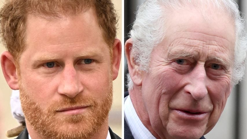 Prinz Harry und König Charles