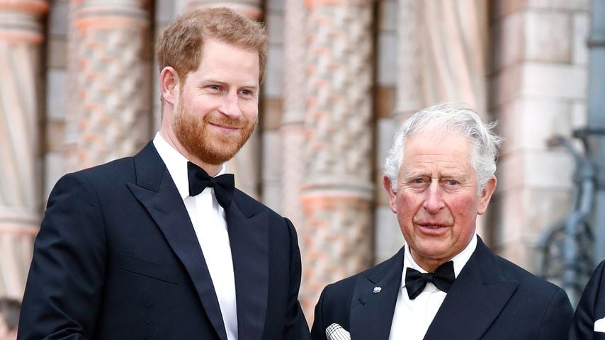 Prinz Harry und König Charles III. im April 2019