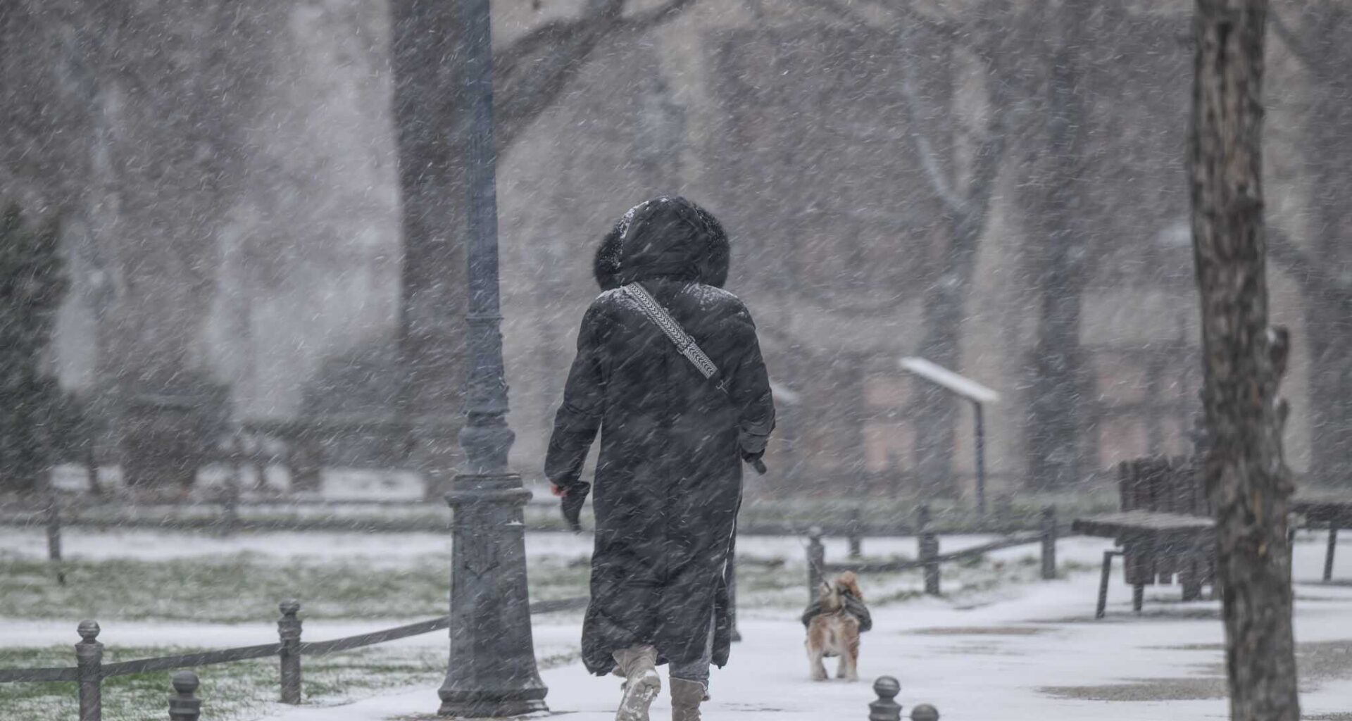 Warnung vor Glätte und Astbruch im Schlösserland Sachsen – Sicherheitsmaßnahmen für Besucher