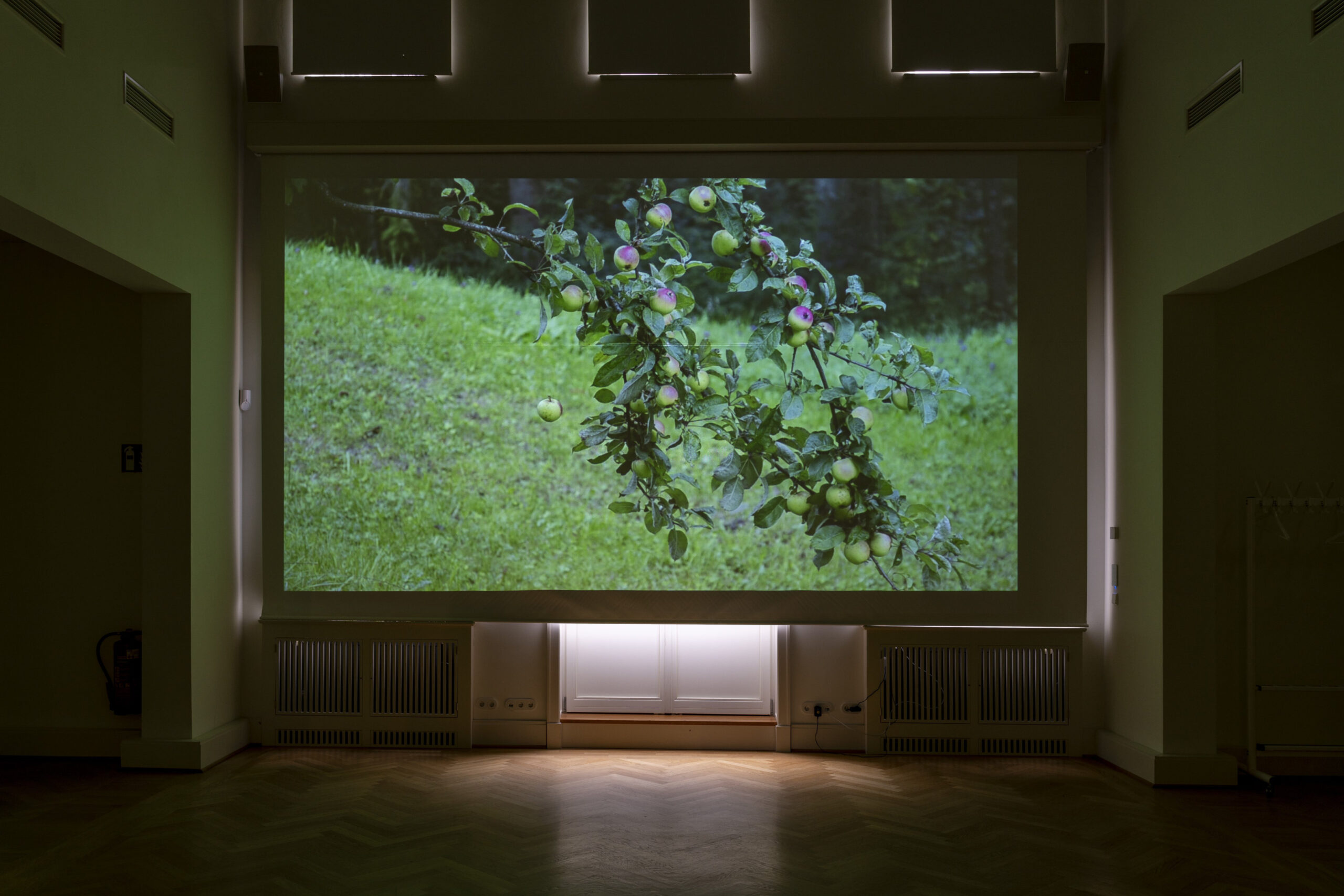 Wenfeng Liao, If the Apple Not Fall, 2016, Ein-Kanal-Video, 2:30 min, Installationsansicht „Die Zeit ist ein Ozean“, Schloss Biesdorf 2025, © Linus Muellerschoen & Schloss Biesdorf