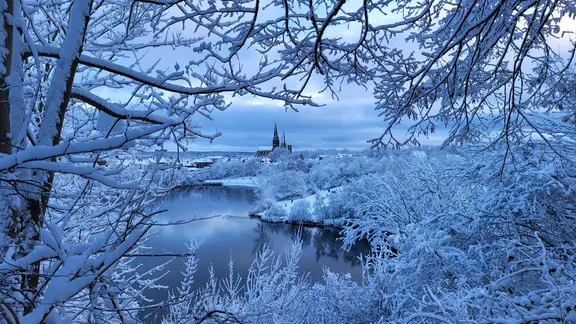 Ein Blick auf die Stadt Lüneburg durch zugschneite Äste. | Margot Mayer-Guderian Ein Blick auf die Stadt Lüneburg durch zugschneite Äste.