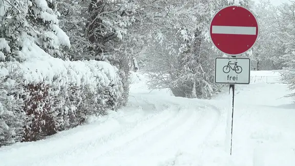 Ein verschneiter Weg führt durch den Wald. | NDR Ein verschneiter Weg führt durch den Wald.