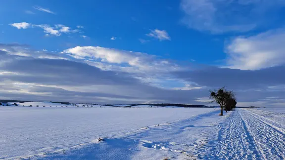 Ein verschneites Feld bei Harbarnsen