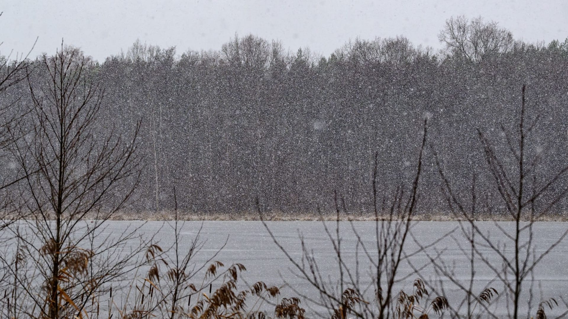 Winterwetter in Brandenburg