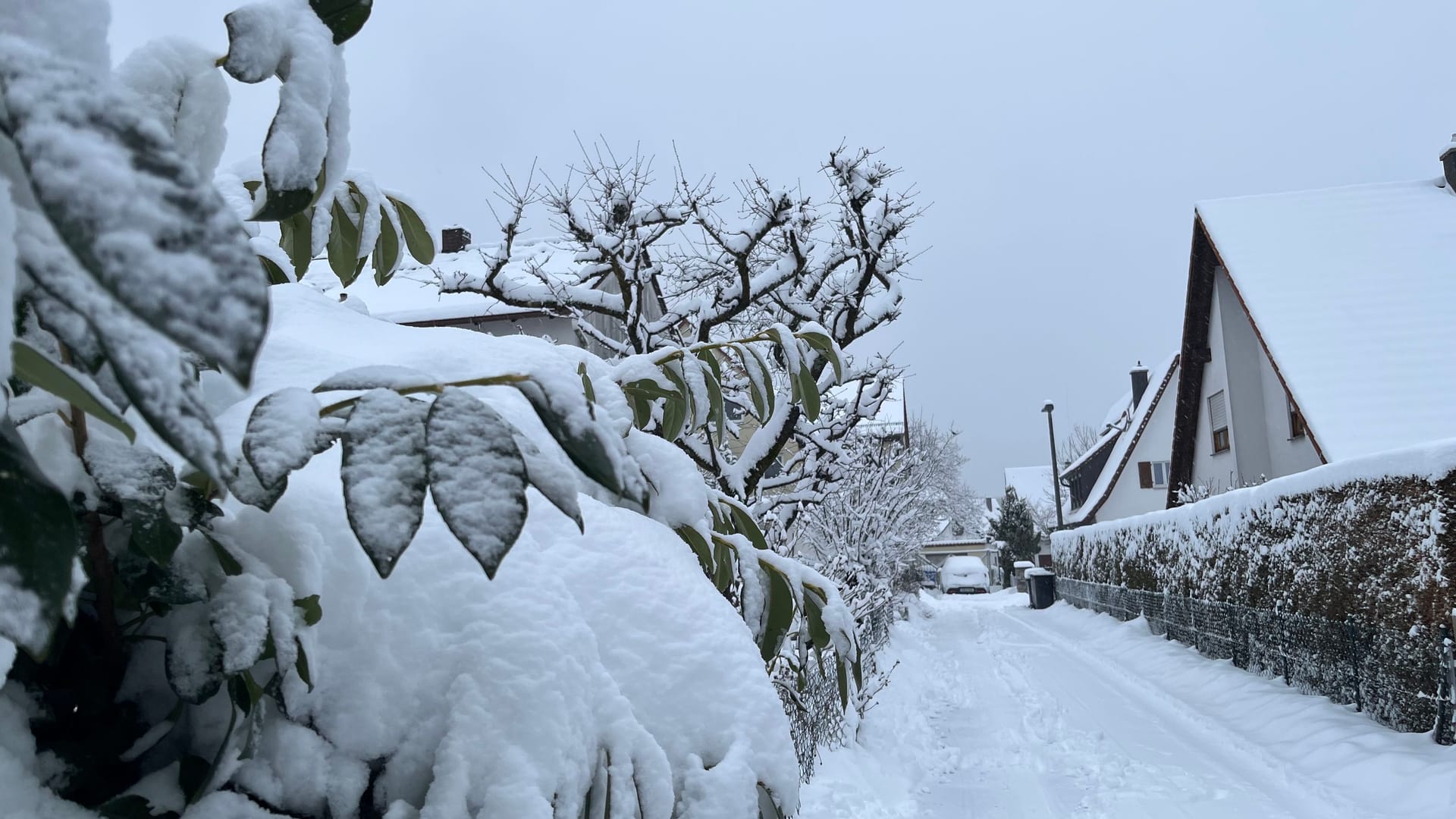 Schneedecke über Nürnberg: Wie fällt das Wetter in den kommenden Tagen aus?
