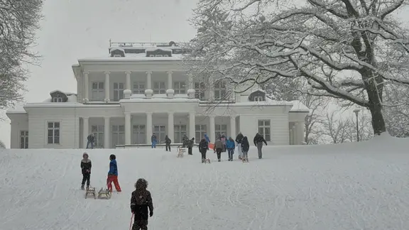 Personen ziehen Schlitten den Berg hinauf. | NDR Personen ziehen Schlitten den Berg hinauf.
