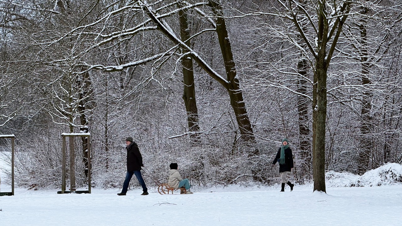 Parkdirektor: "Wege im Bremer Bürgerpark sind trotz Schneefall sicher"
