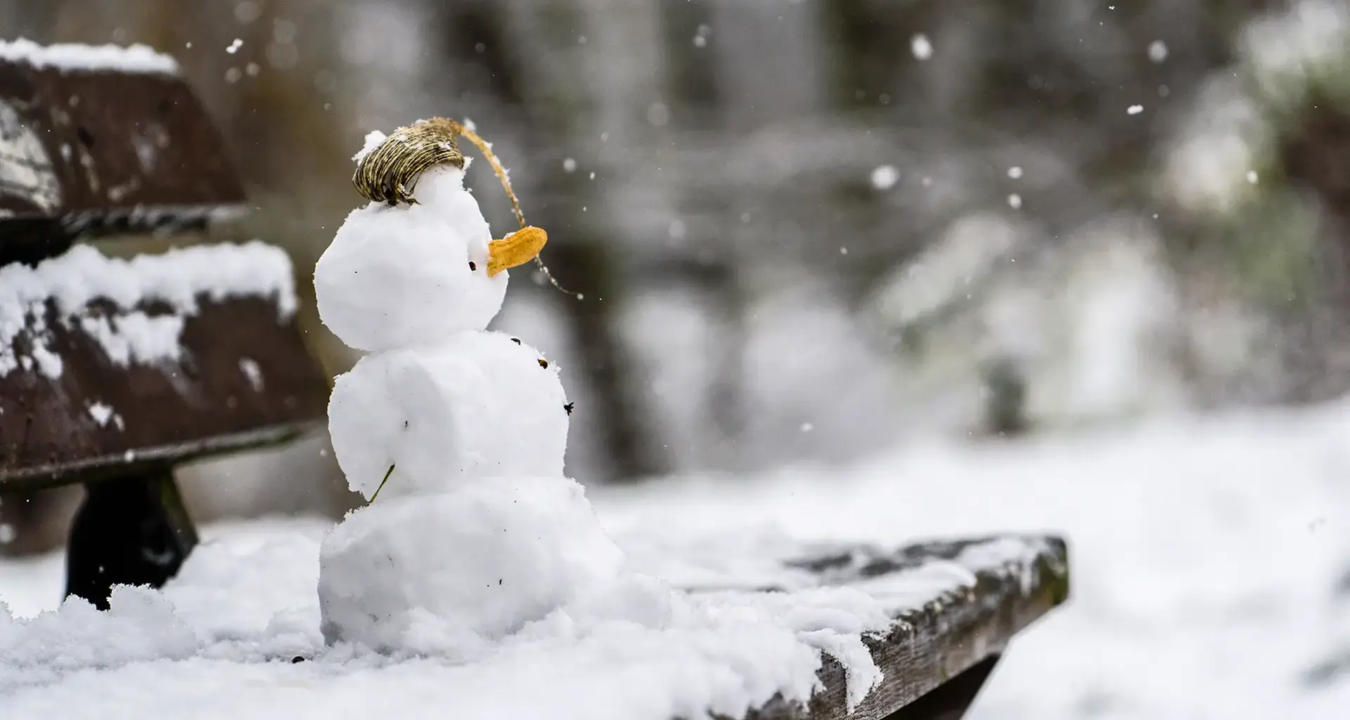 Streit um "Kollege" Schneemann endet in Prügelei vor Restaurant - vier Menschen leicht verletzt - NDR.de