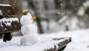 Streit um "Kollege" Schneemann endet in Prügelei vor Restaurant - vier Menschen leicht verletzt - NDR.de