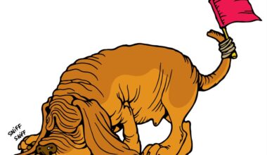 Featured image for “Nosey Parker: CLI-Werkzeug spürt sensible Informationen in Textdaten und Code-Repositories auf”