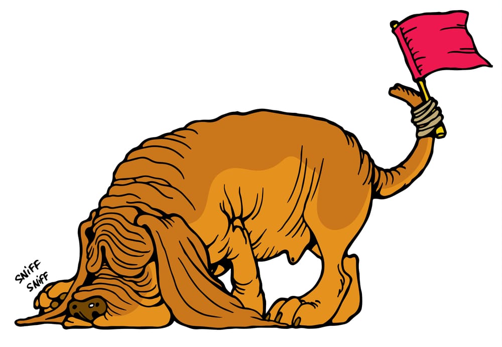 Featured image for “Nosey Parker: CLI-Werkzeug spürt sensible Informationen in Textdaten und Code-Repositories auf”