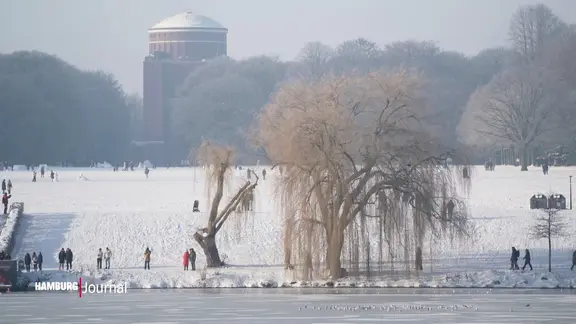Der Hamburger Stadtpark im Schnee.