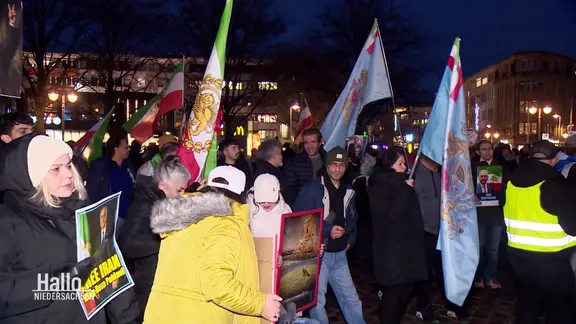 Protestierende halten Fahnen und Schilder in den Händen. 