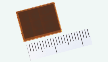 Canons Sensor-Zukunft und Ricohs Schwarz-Weiß-Traum – Fotonews der Woche 02/2026