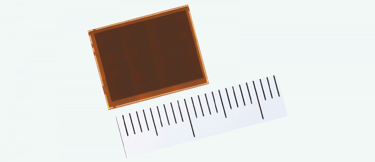 Canons Sensor-Zukunft und Ricohs Schwarz-Weiß-Traum – Fotonews der Woche 02/2026