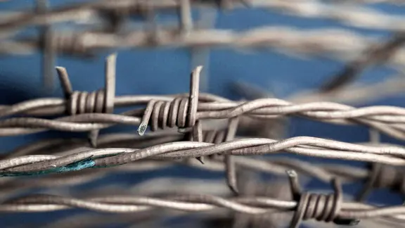 Ein Stacheldrahtzaun in der Nahaufnahme.