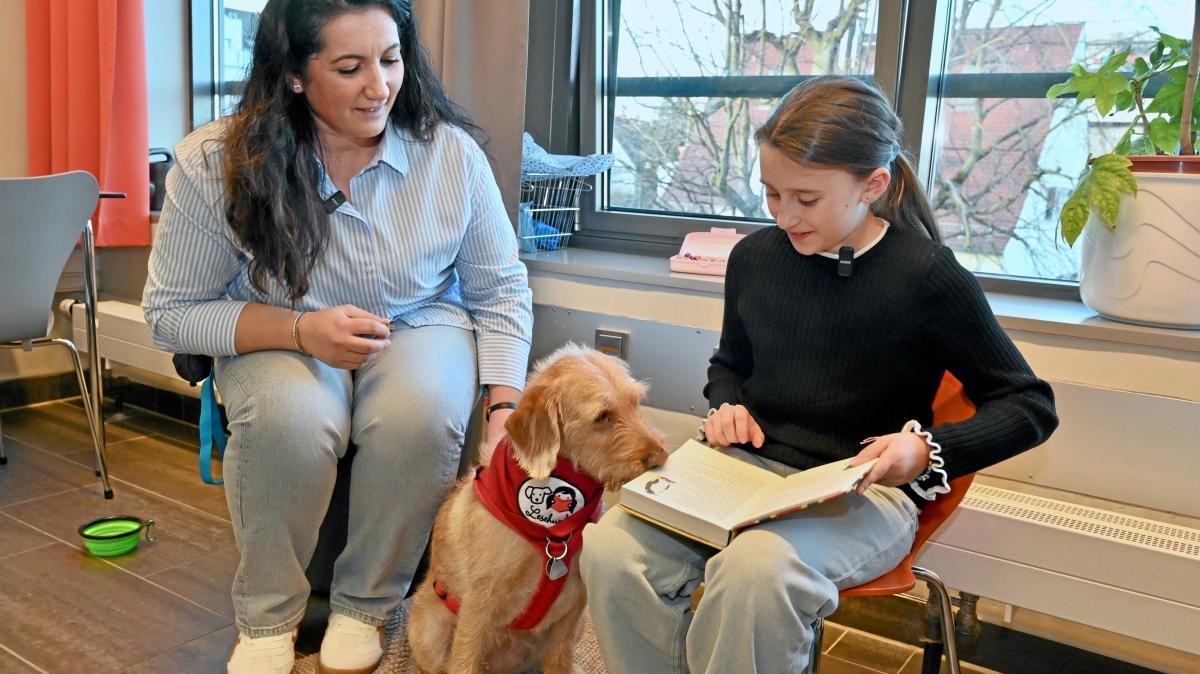 So funktioniert das Projekt zum Lesenlernen