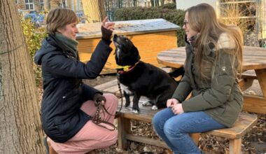 Hunde beruhigen Dresdner Studenten während der Prüfungszeit