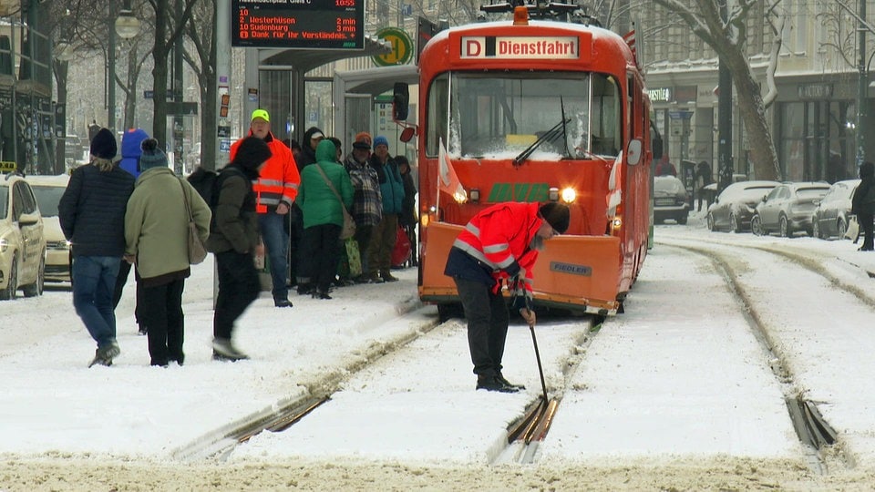 Liveticker zu Sturmtief Elli in Sachsen-Anhalt: Entspannung der Lage für Samstag erwartet - MDR