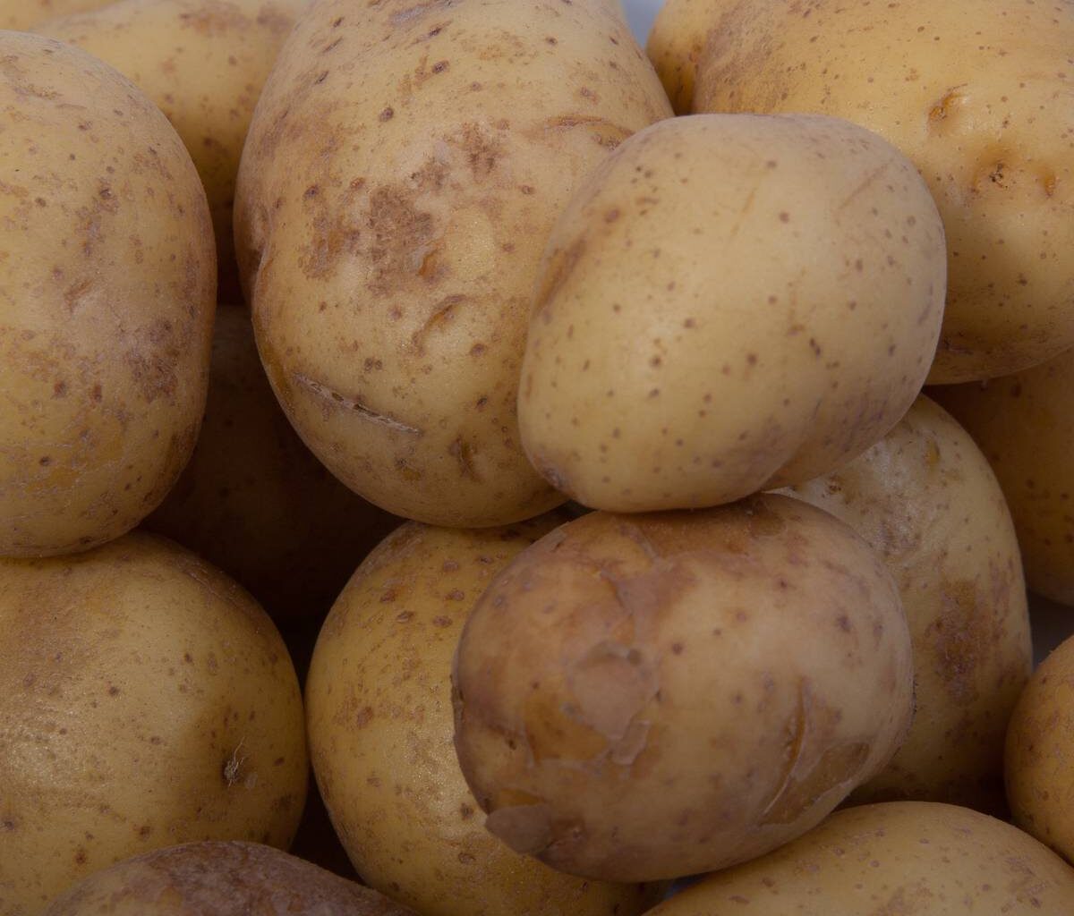 Stadt Troisdorf muss Kartoffeln entsorgen