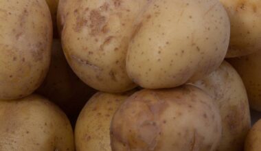 Stadt Troisdorf muss Kartoffeln entsorgen