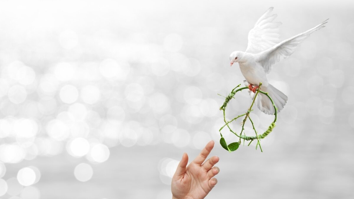 Bruder Paulus sieht auch in Krisenzeiten Hoffnungszeichen