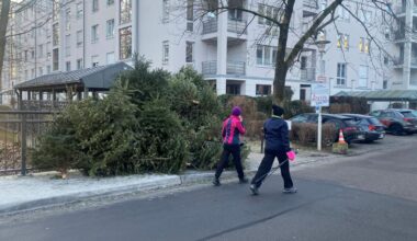 Ausrangierte Christbäume in Augsburg warten auf Abholung