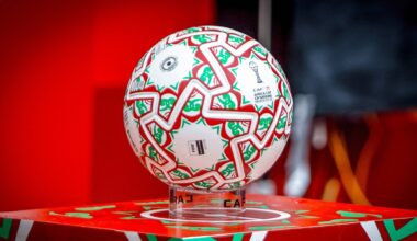 Afrika-Cup: FCA-Profis ausgeschieden | FC Augsburg