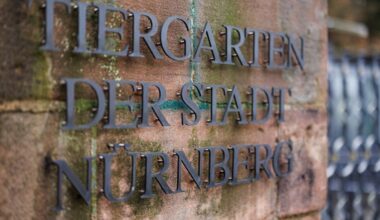 Tiergarten Nürnberg und Zoo Augsburg wegen Schnees zu
