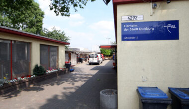 Man sieht den Eingang vom Tierheim in Duisburg.