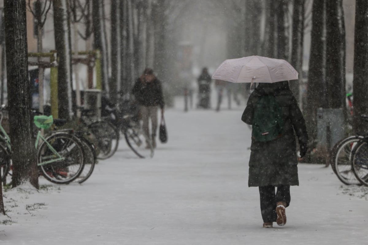 AWB arbeitet mit Hochdruck auf den Straßen