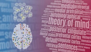 Algebra trifft Neurowissenschaft: Wie Leipziger Mathematiker helfen, das Gehirn zu entschlüsseln